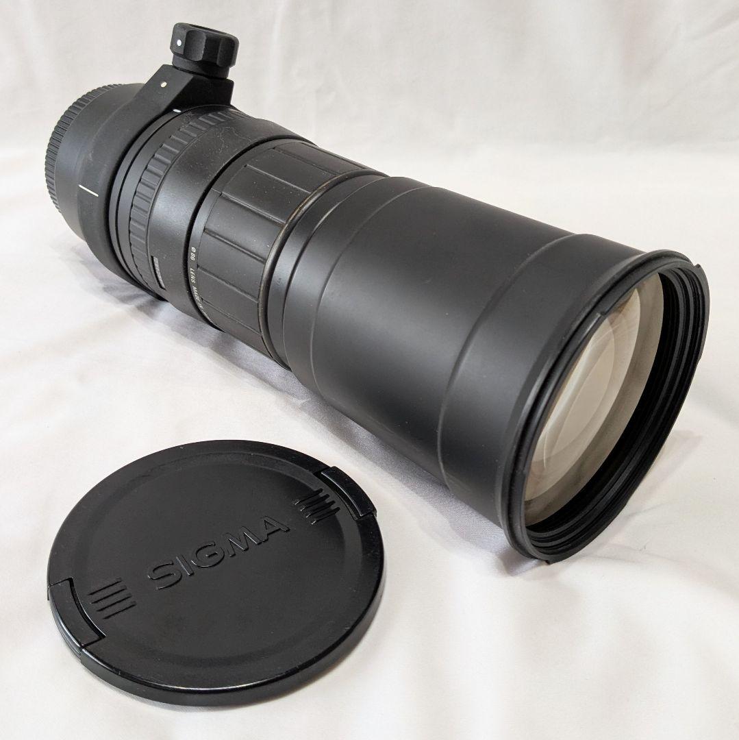シ*ジ様 シグマ170-500mm F5-6.3 APO Canon EF 超望