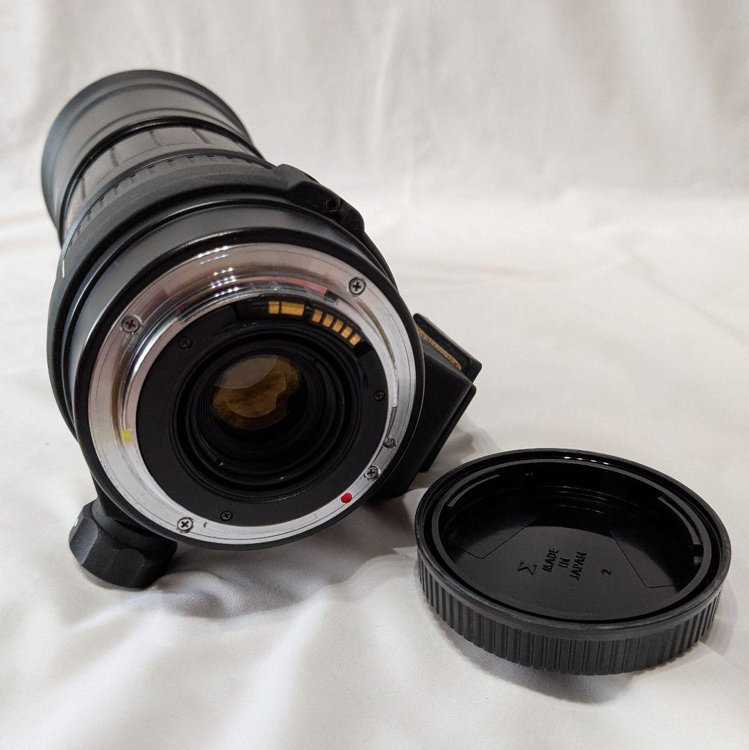 シ*ジ様 シグマ170-500mm F5-6.3 APO Canon EF 超望
