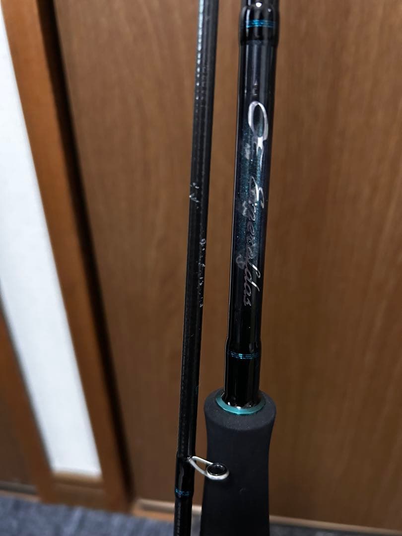 ダイワ　エギングロッド カーボン製 ブラック 専用ケース付き
