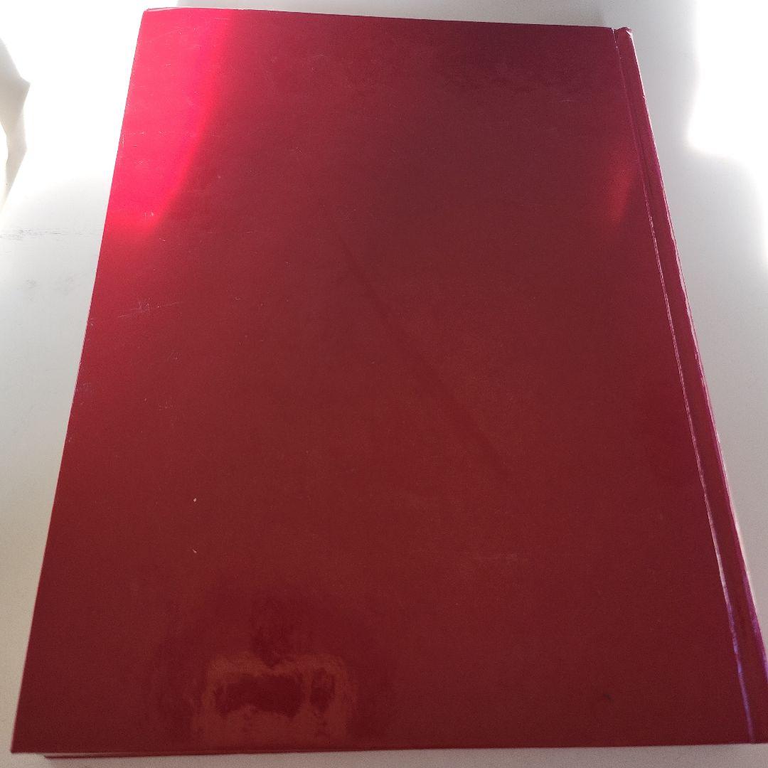 SIMON PYGMALIONISME アート書籍