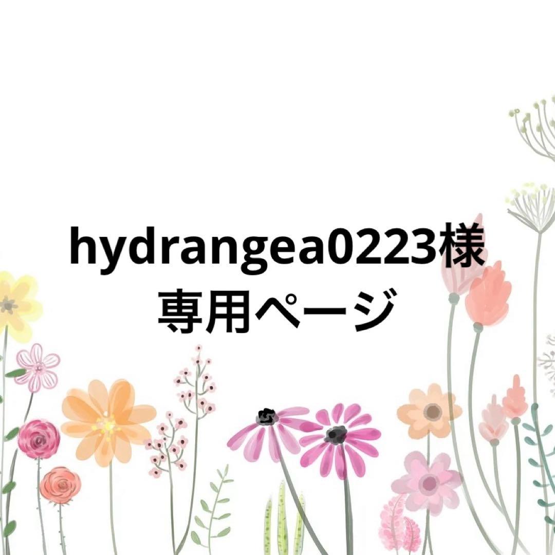 hydrangea0223ページ