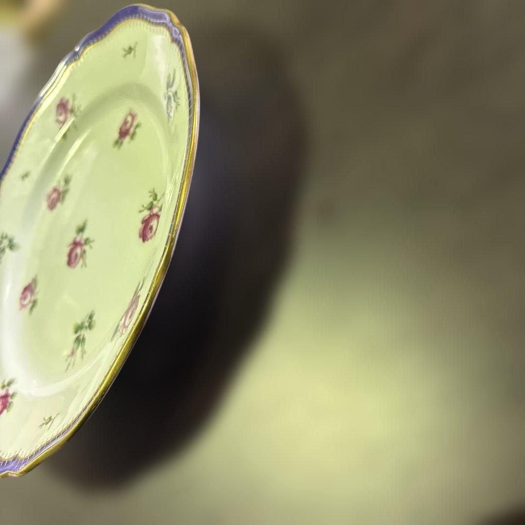 専用 S2263 Richard Ginori 大皿 プリンセスローズ