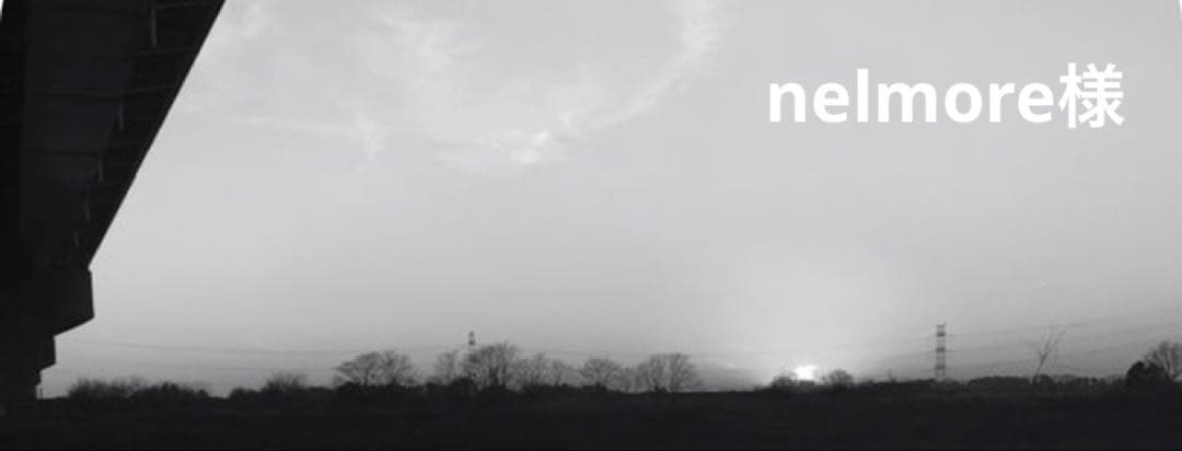 専用になります。