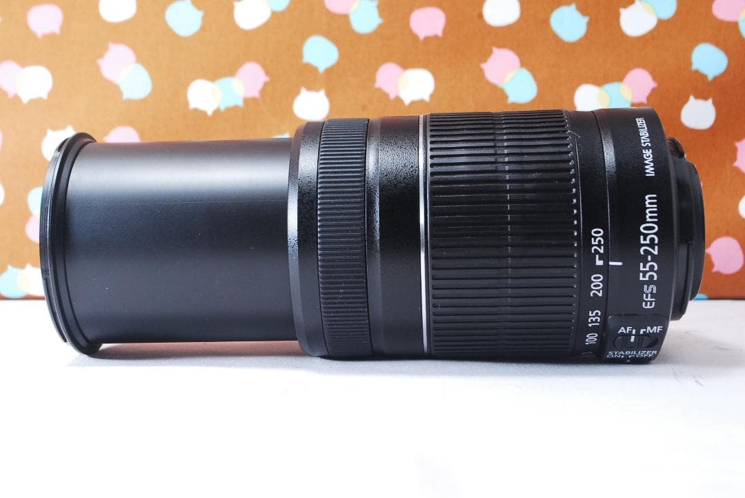 ✨美品✨Canon EF-S 55-250mm F4-5.6 IS Ⅱ