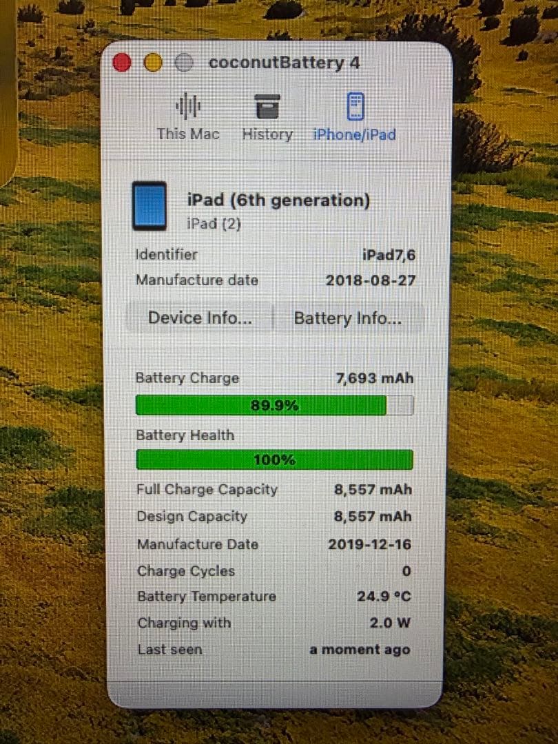 ipad第6世代 Wi-Fi+cellular バッテリー最大容量100%