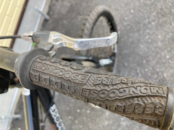 mon ritual 2005 マングース