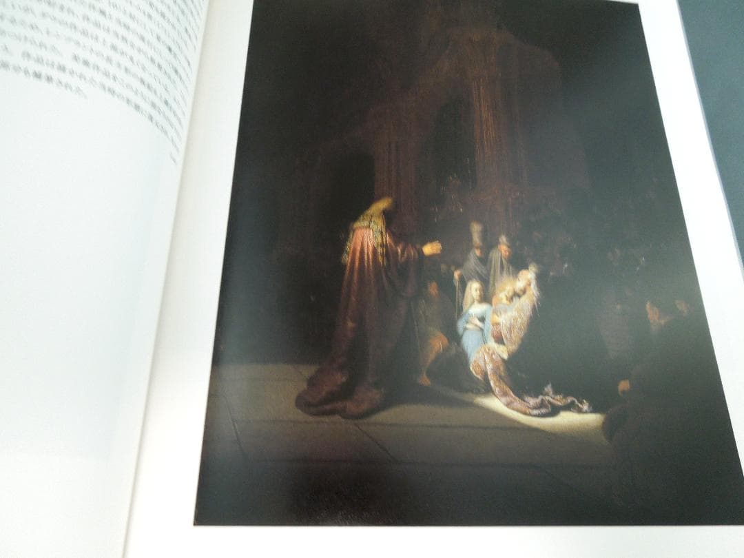 美術館グッズ【479】〔展覧会図録〕 マウリッツハイス美術館展