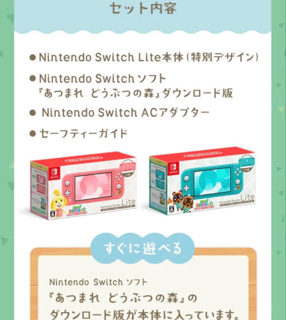 Nintendo Switch Lite どうぶつの森しずえ　&ケース一式