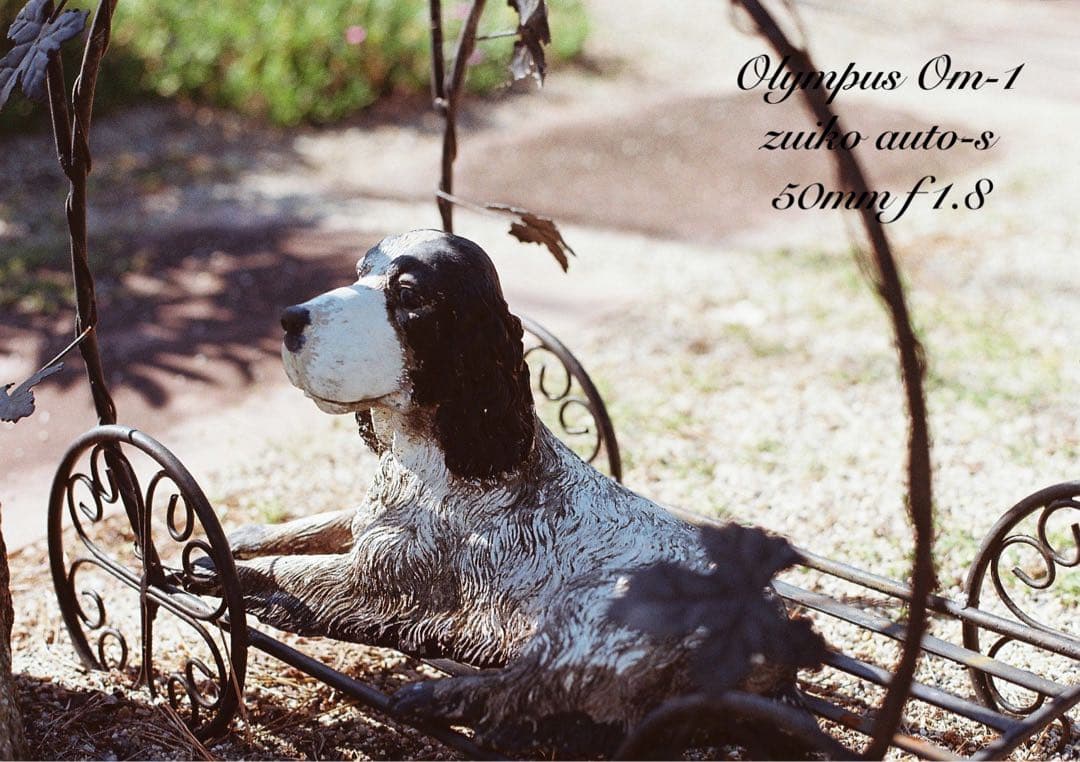 ★超美品＊完動品★OLYMPUS OM-1★初期保証★作例多数！