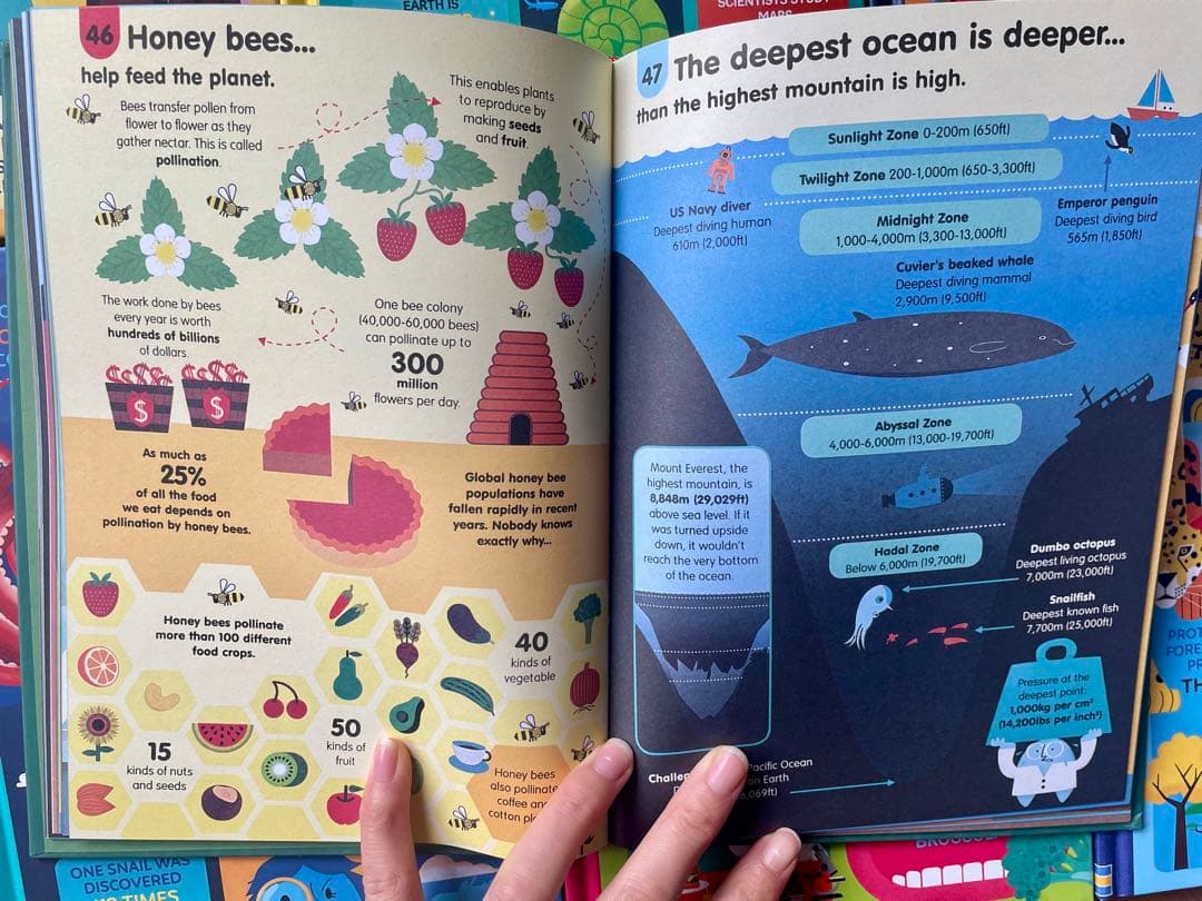 新品100 Things to Know About 11冊セット英語絵本洋書