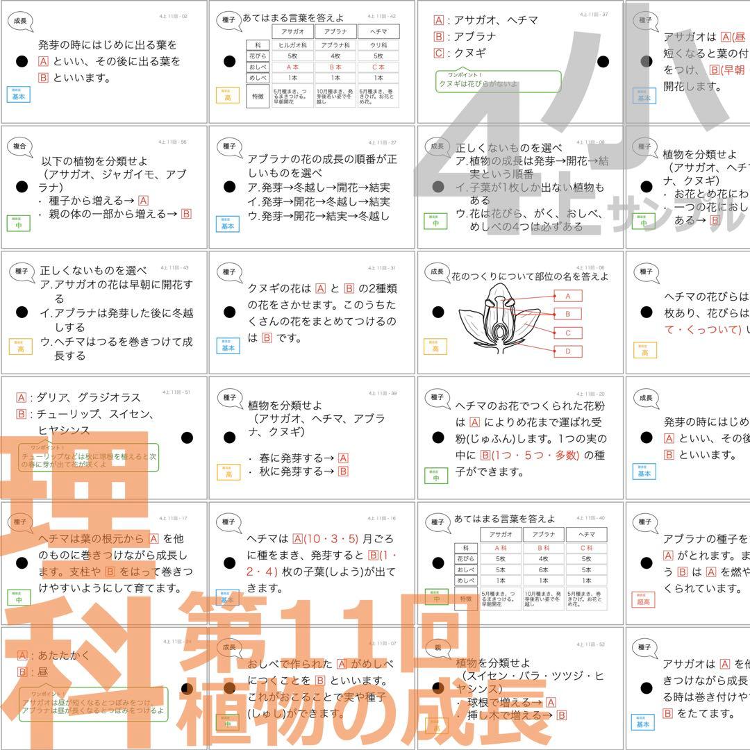 中学受験 暗記カード【4年上ハーフセット 理科11-19回】組分け対策 予シリ