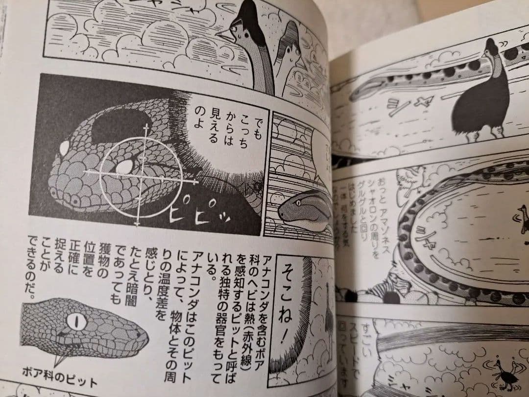 【値下げ】真・異種格闘大戦　全10巻セット　相原コージ　帯３本一部カードおまけ有