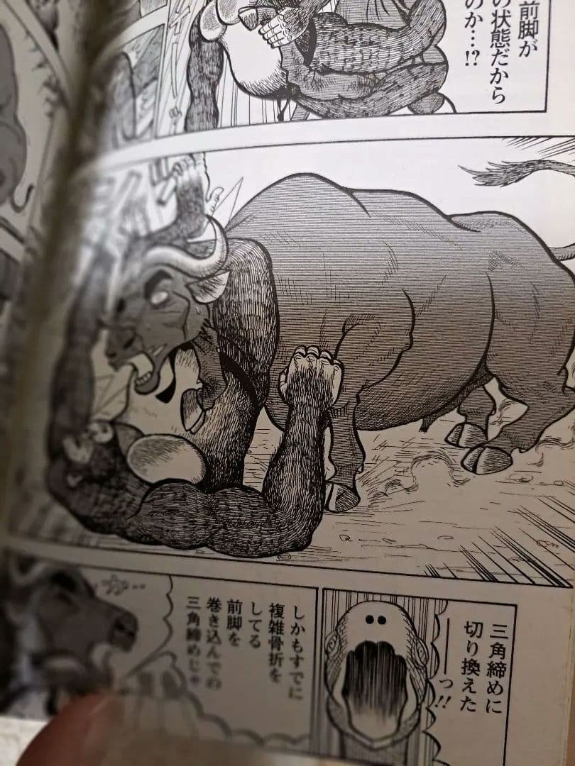 【値下げ】真・異種格闘大戦　全10巻セット　相原コージ　帯３本一部カードおまけ有