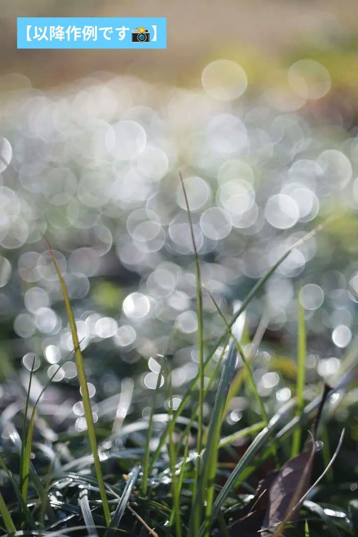 【分解清掃済】Carl Zeiss Tessar 50mm f/2.8 鷹の目