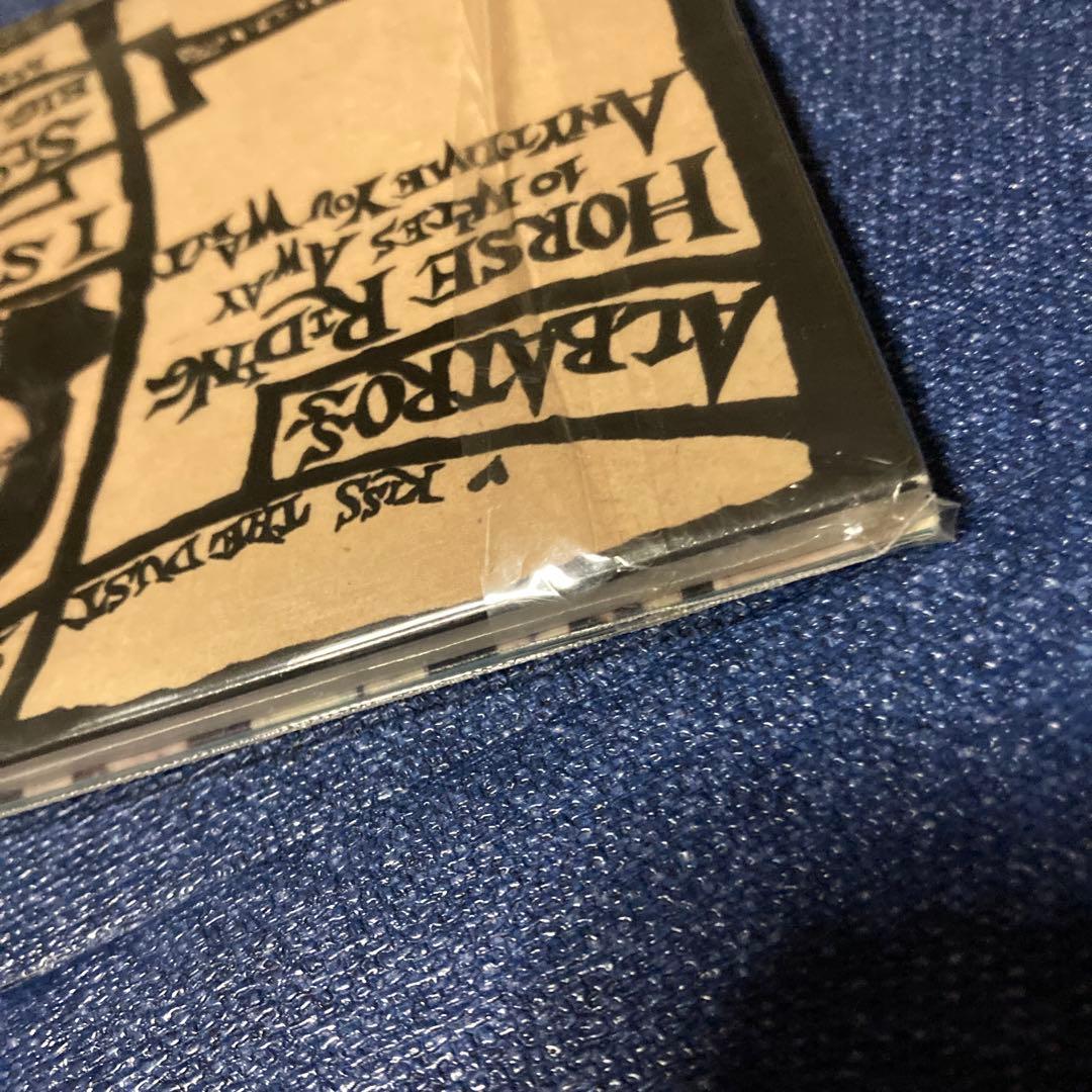 SILVER FINS pigment CD 未開封　サロンミュージック　邦楽