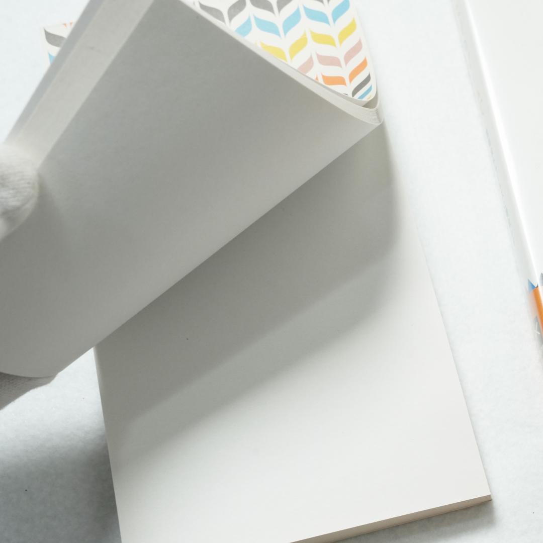 【初回限定生産】ふたりのイームズ:建築家チャールズと画家レイ特装版 DVD