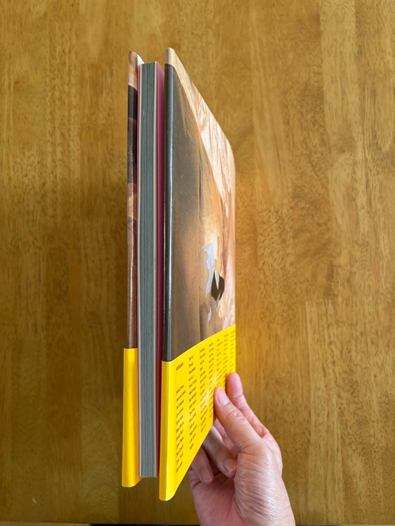 スヌーピーインファッション　SNOOPY IN FASHION　初版　帯付き