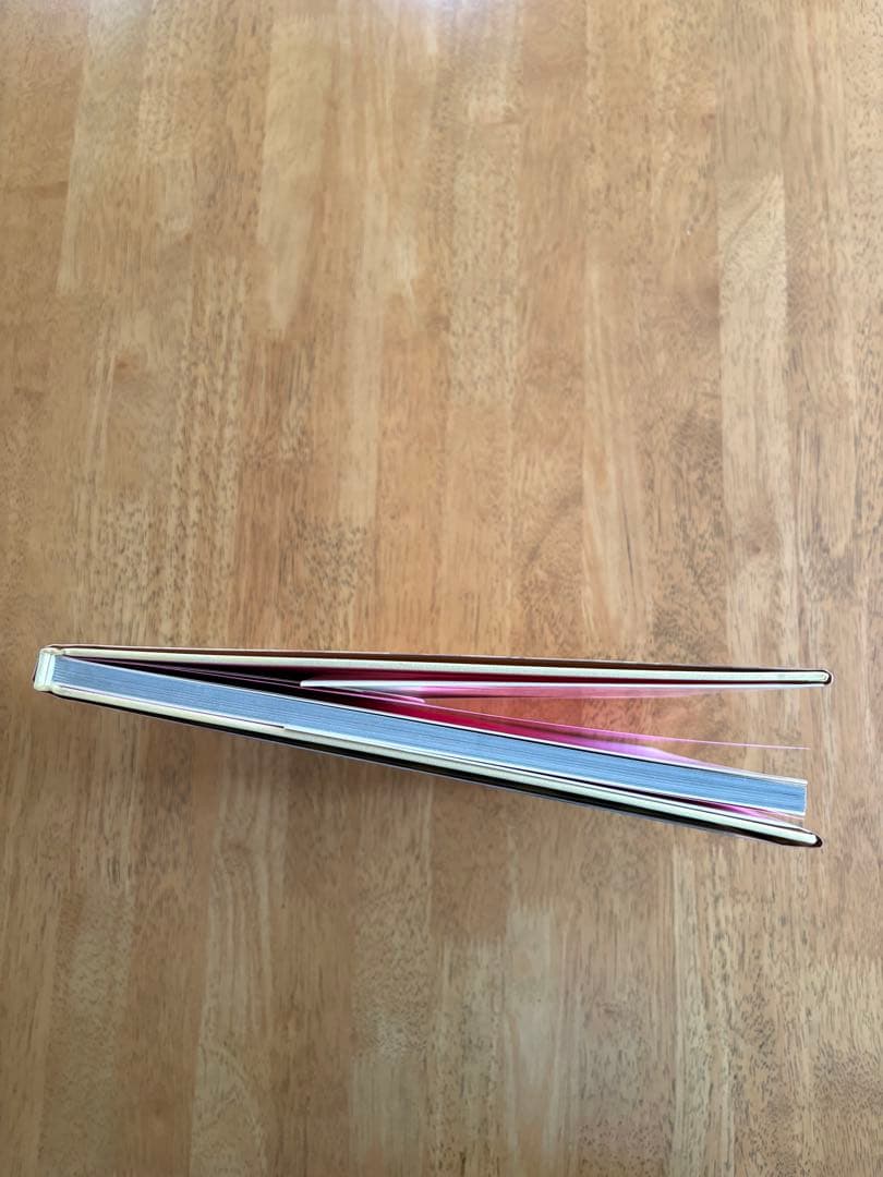 スヌーピーインファッション　SNOOPY IN FASHION　初版　帯付き