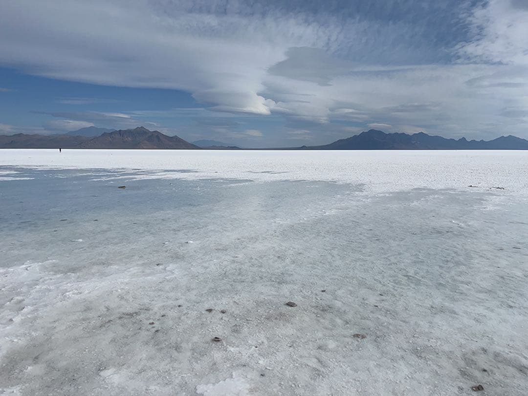 minimini　ニュースキン　専用