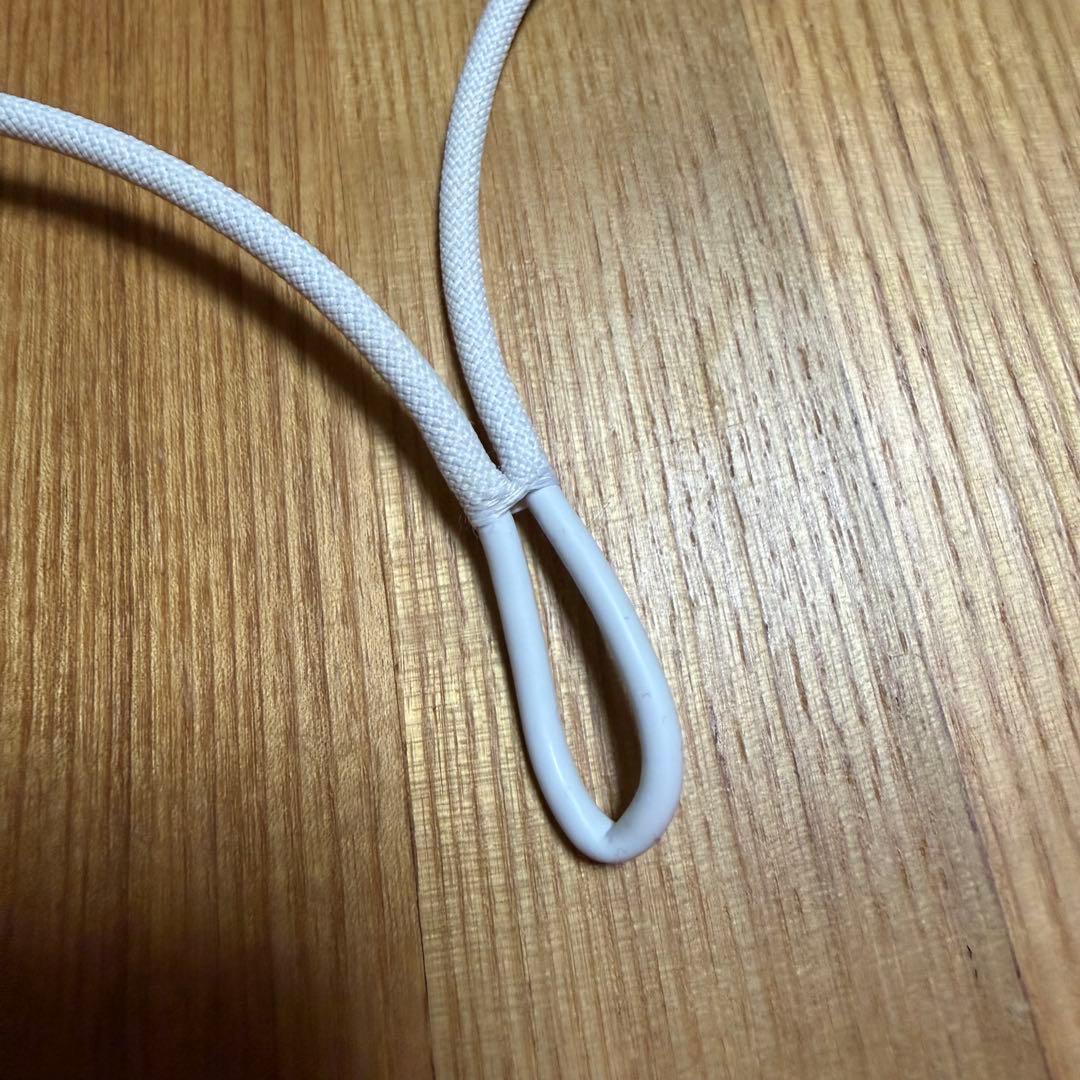 【Apple正規品・美品！】AirPods Pro 第2世代 Type-Cモデル