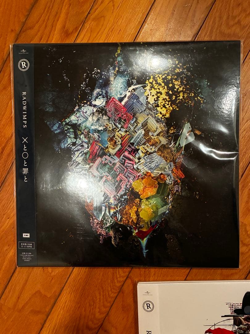 ラッドウィンプス　レコードまとめ売り