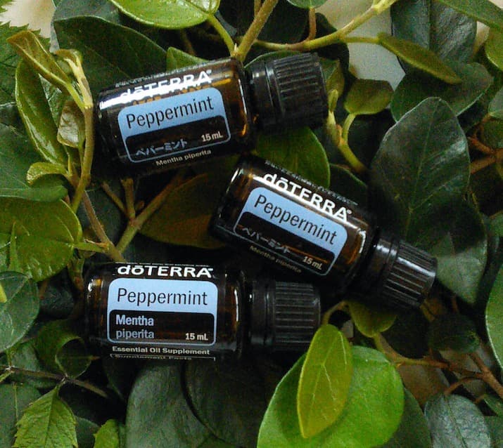 3本【新品 未開 最安】 doTERRA ペパーミント 15ml 28年代