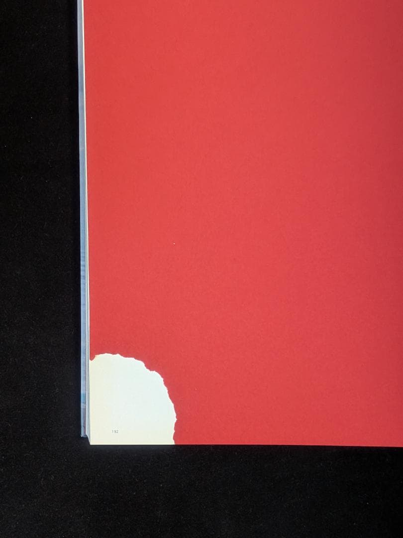 アート・デザイン・音楽 Nadav Kander Beauty's Nothing