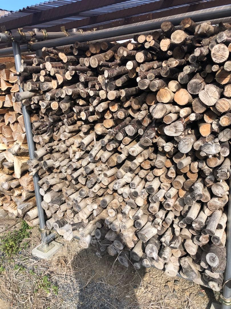 サクラ、広葉樹薪、乾燥三年一立米！