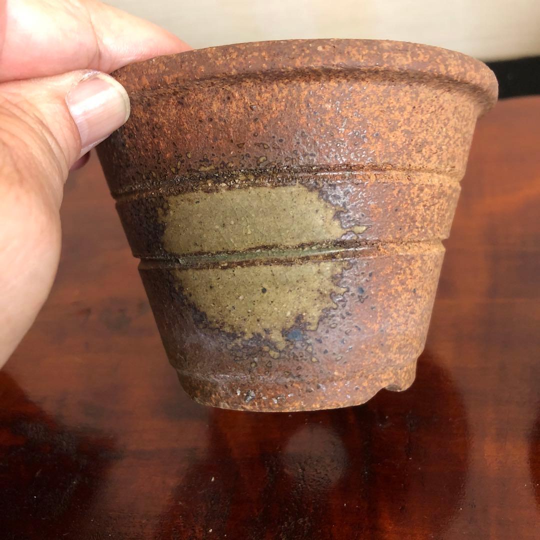 盆栽　山野草　サボテン　多肉植物鉢　4セット(11個)未使用品その他