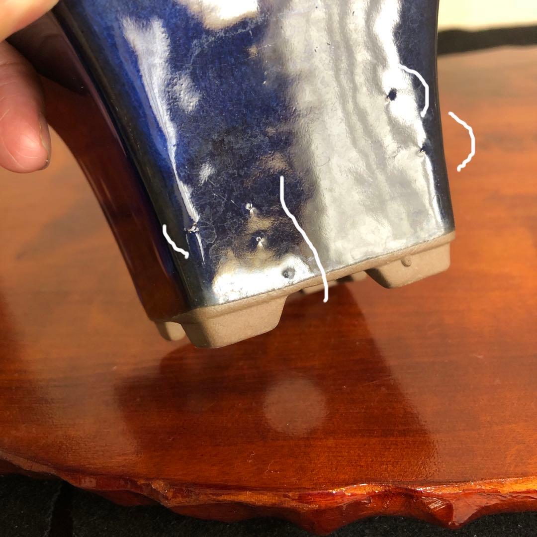 盆栽　山野草　サボテン　多肉植物鉢　4セット(11個)未使用品その他