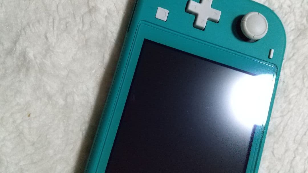 Nintendo Switch Liteターコイズ本体動作品 良品アダプター付属