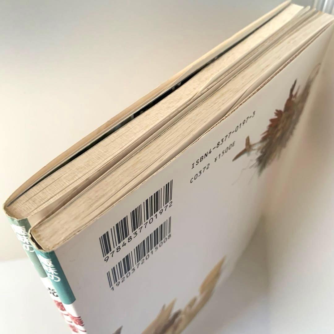 籐工芸　続　籐工芸 : ラタンクラフト　新装版　趣味のぎゃらりぃ　真木雅子　希少