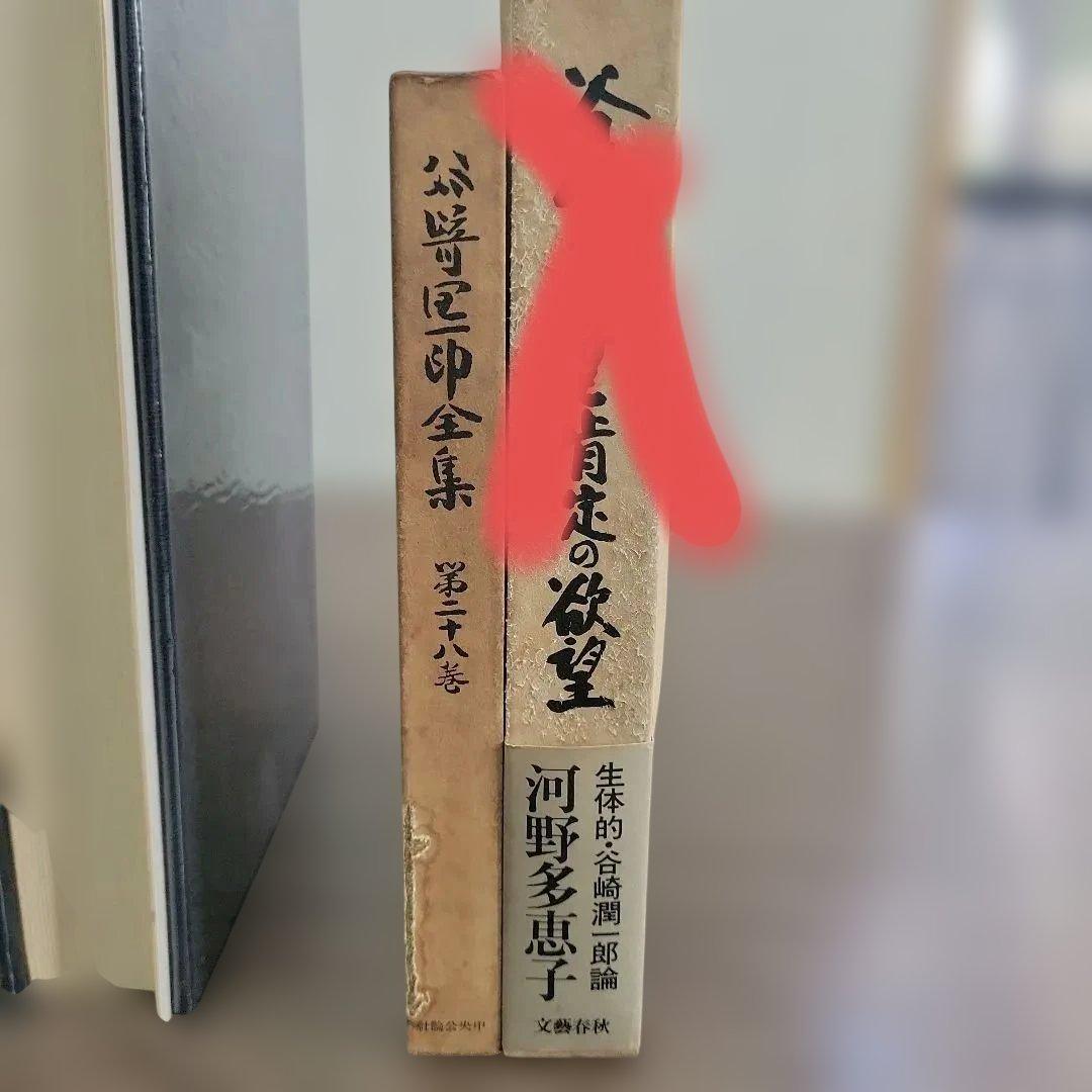 月報付き 美品 谷崎潤一郎全集 全28巻 おまけ1冊（中央公論社）昭和41年発行