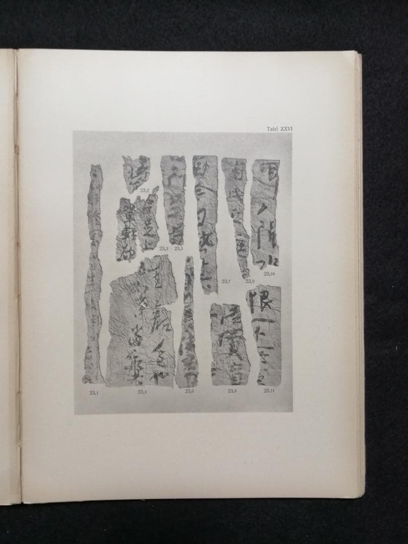 洋書 Die chinesischen handschriften- und...