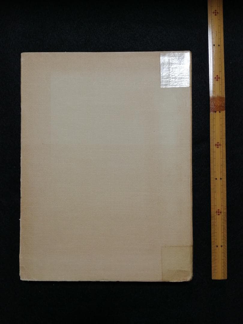 洋書 Die chinesischen handschriften- und...