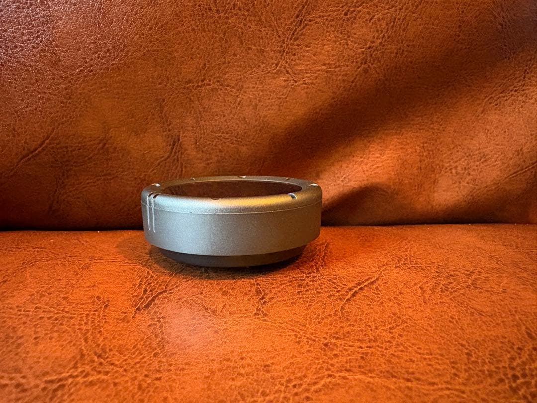 BEELINE Moto II ガンメタ ケース付 動作品