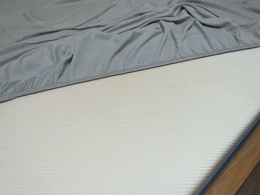 RINGO【コアラベッドフレーム】コアラクイーンサイズマットレスおまけ付き