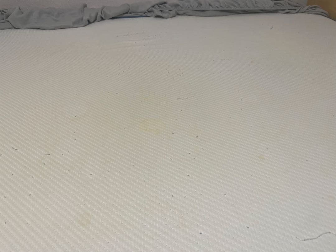 RINGO【コアラベッドフレーム】コアラクイーンサイズマットレスおまけ付き