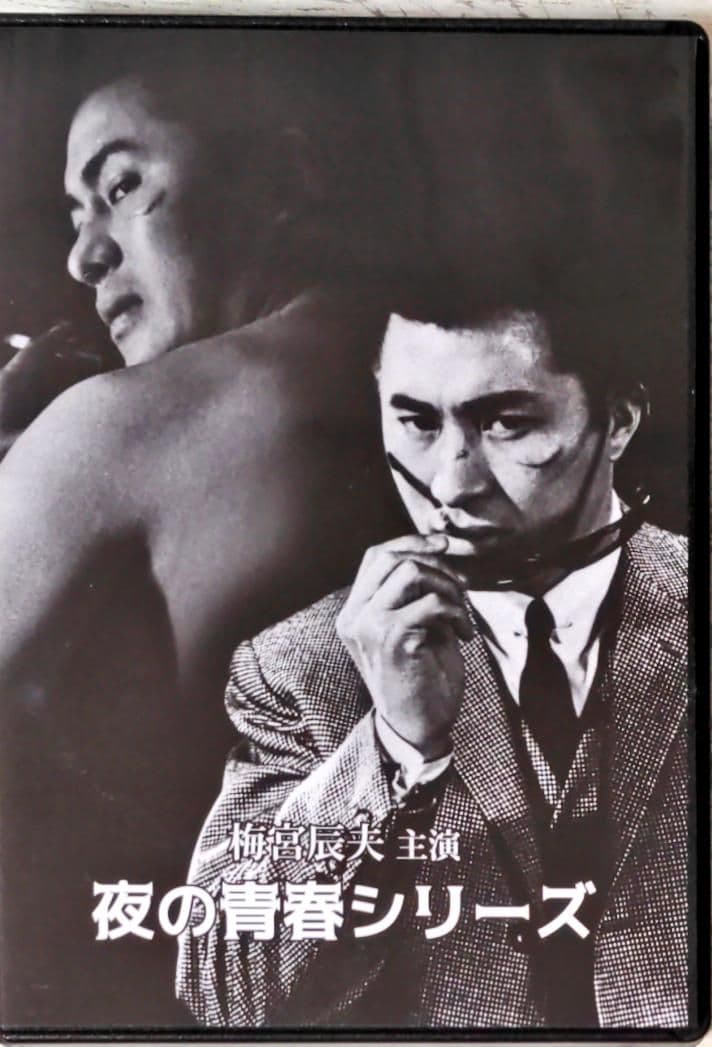 梅宮辰夫主演 夜の青春シリーズ〈4枚組〉DVD