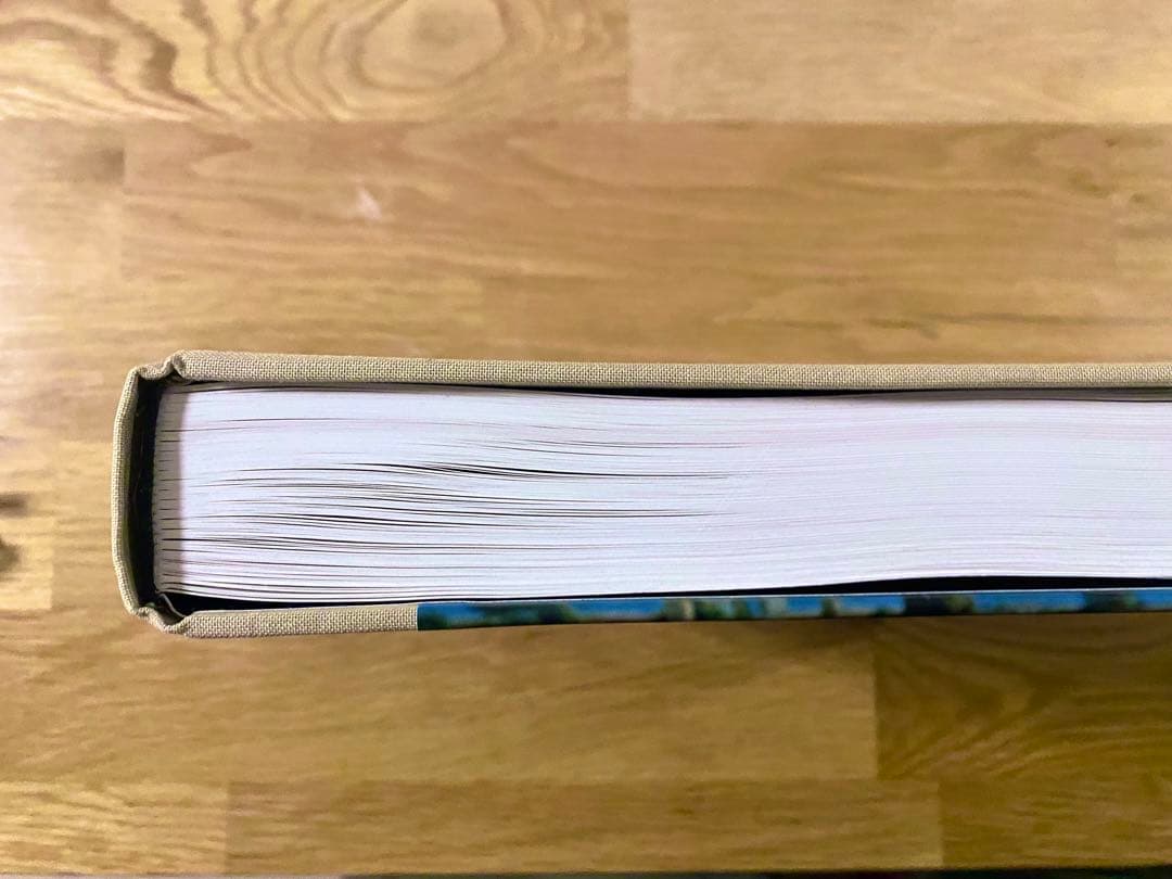 STEPHEN SHORE 写真集