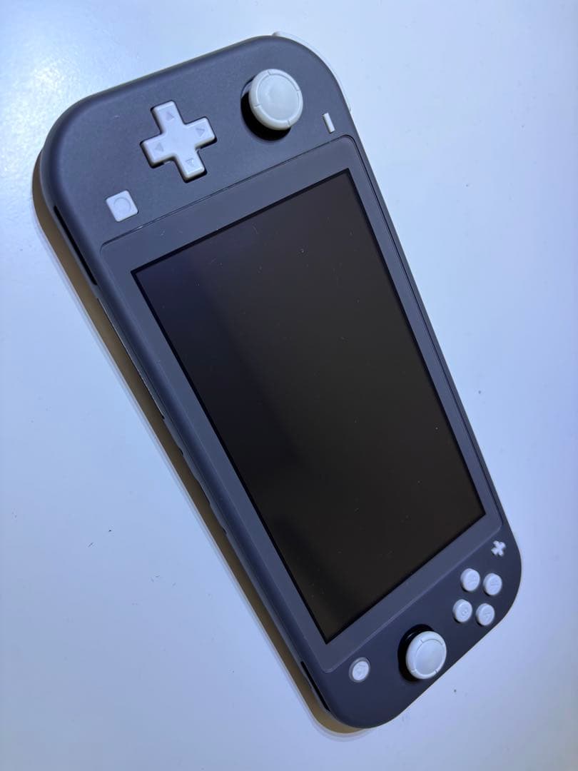 Nintendo Switch Lite グレー本体 【ケースと付属品付き】