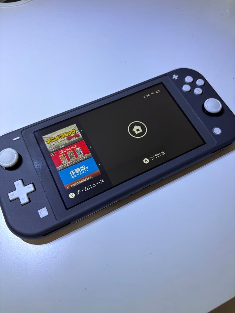Nintendo Switch Lite グレー本体 【ケースと付属品付き】