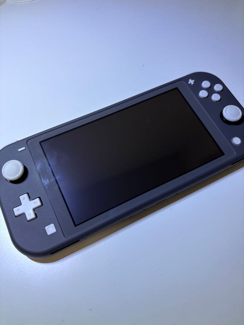 Nintendo Switch Lite グレー本体 【ケースと付属品付き】