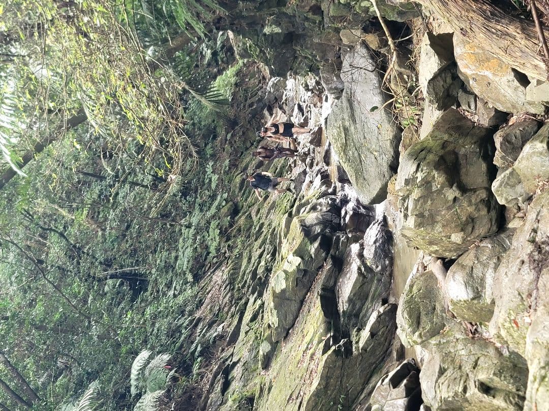 特別価格★一点もの最強パワー幸せを掴み取るオルゴプレート