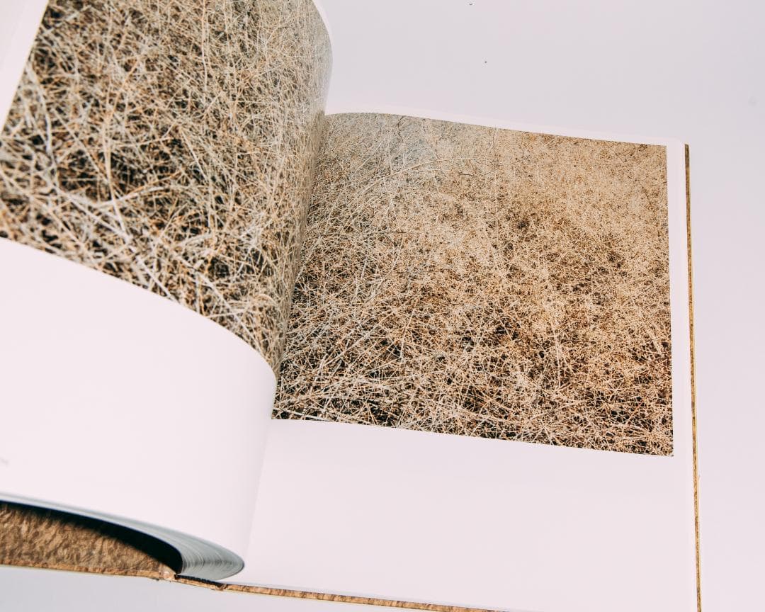 RICHARD MISRACH CHRONOLOGIES　写真集