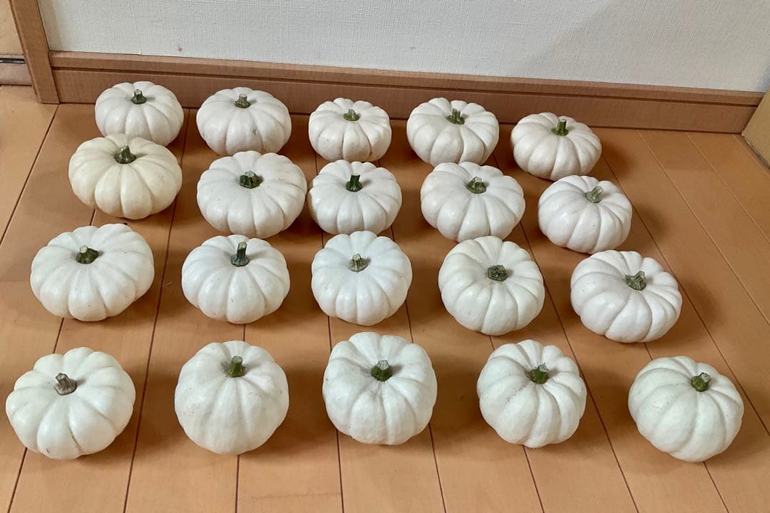 ハロウィン観賞用おもちゃかぼちゃ　40個　サチ5A