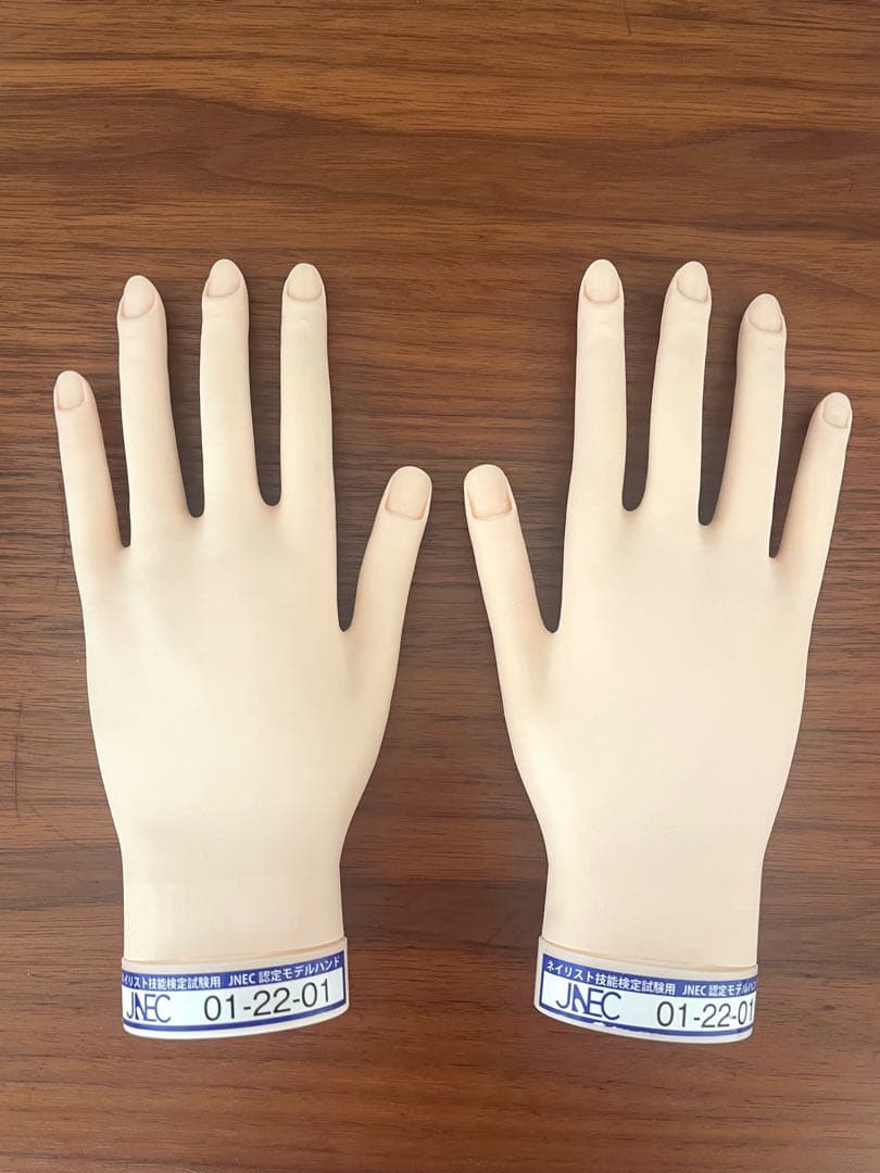 JNEC 認定モデルハンド両手セット　検定チップ付き