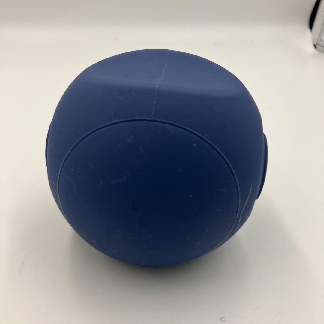 【美品】 スタイリーボール 東急スポーツオアシス