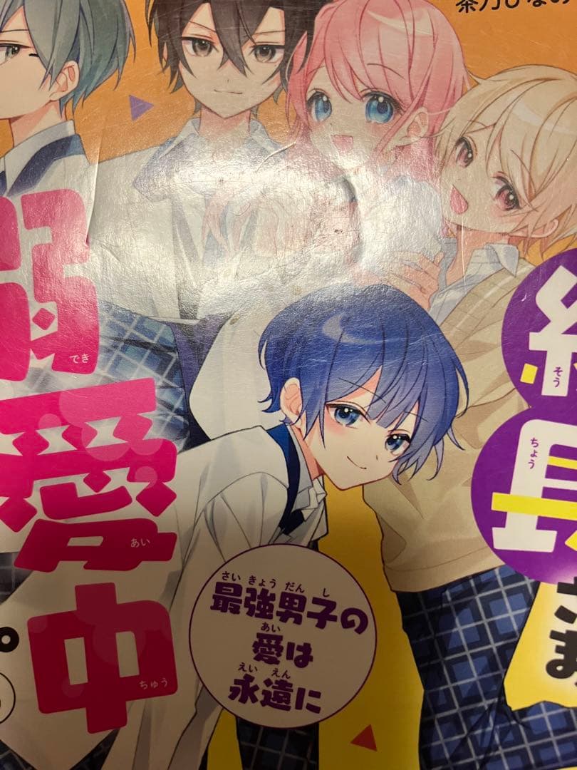 総長さま、溺愛中につき。1〜14 吸血鬼と薔薇少女　1〜5 他　4冊　セット