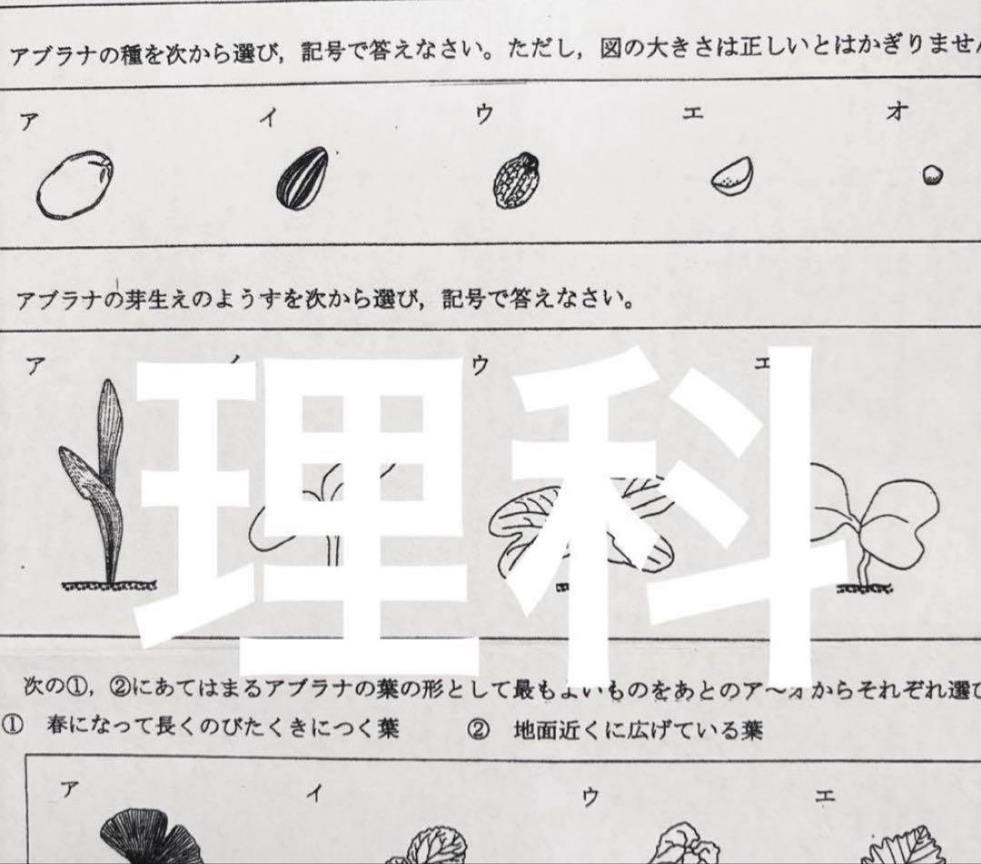 浜学園　小5 公開学力テスト　2022年〜2024年 4科目 3年分